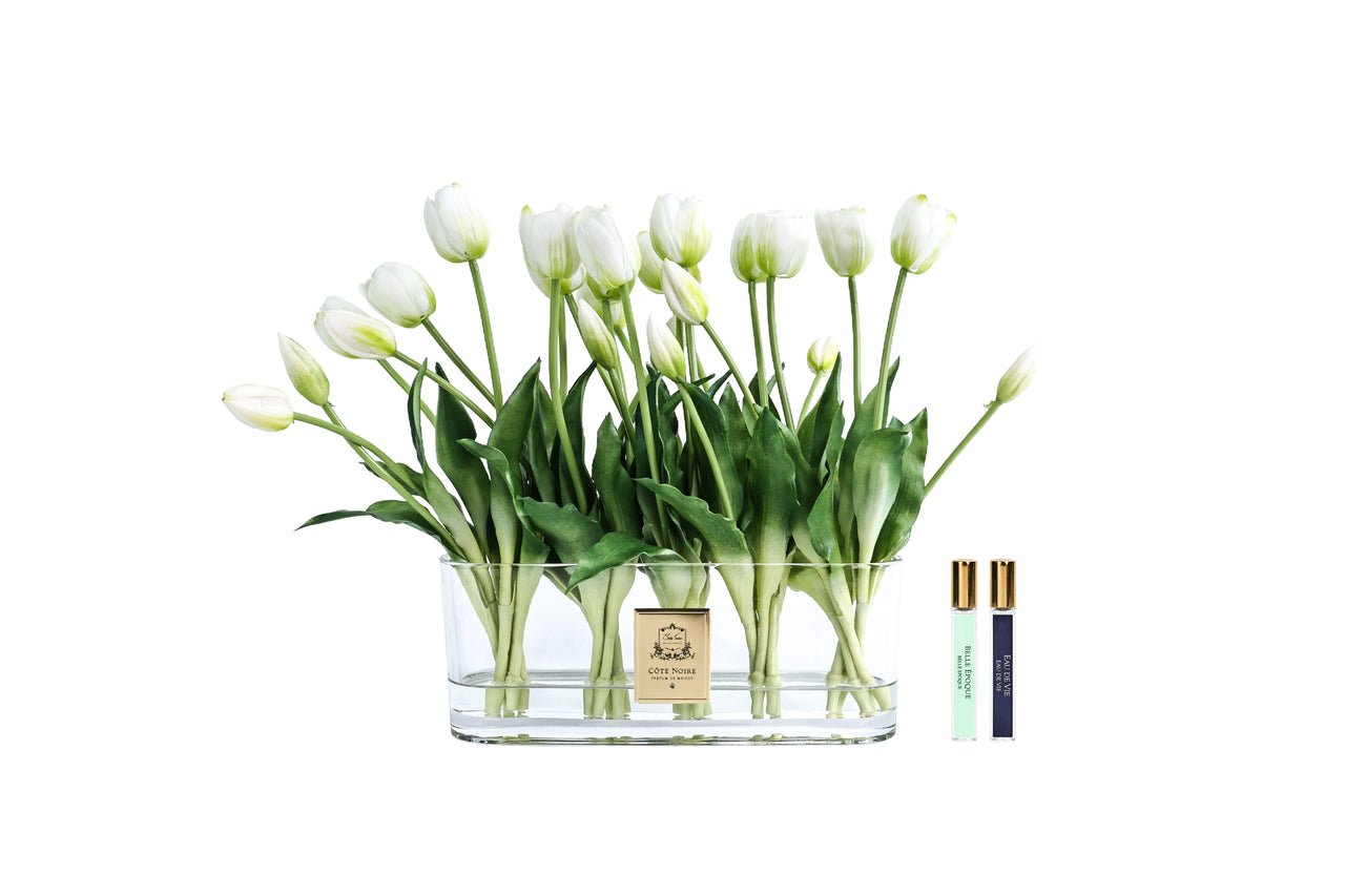 Cote Noire Oval Tulips - White - OT01