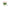 Cote Noire Oval Tulips - Pink - OT02