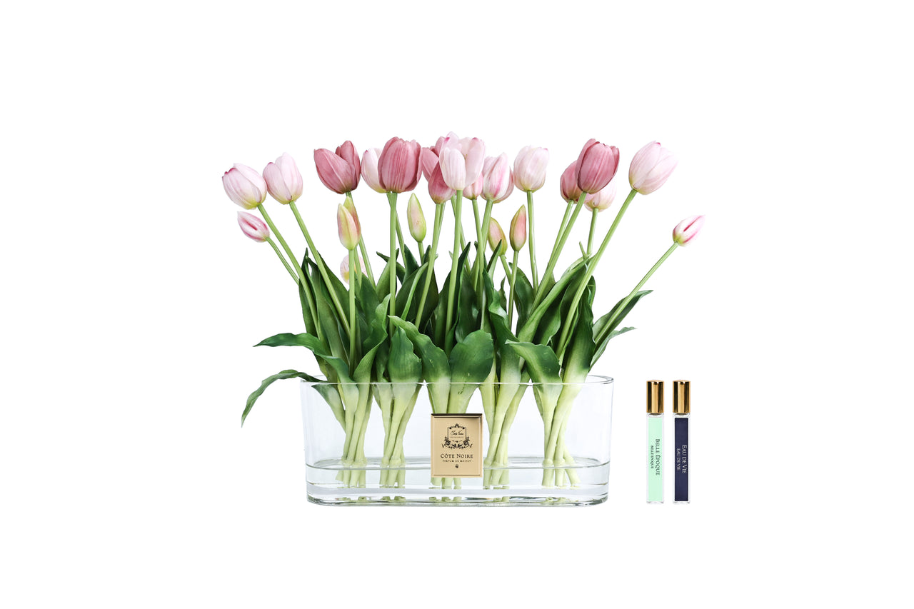Cote Noire Oval Tulips - Pink - OT02