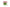 Cote Noire Oval Tulips - Red - OT03