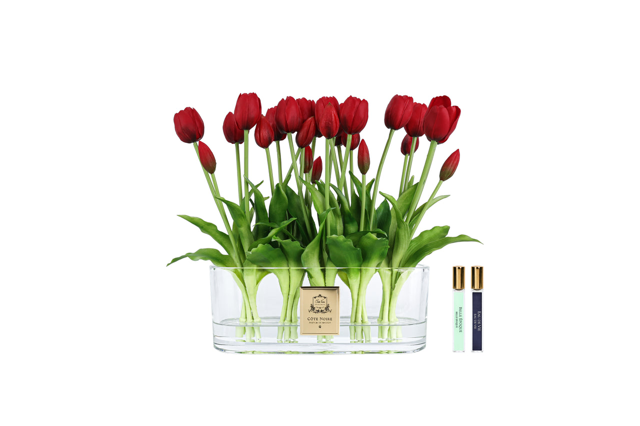 Cote Noire Oval Tulips - Red - OT03