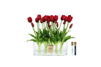 Cote Noire Oval Tulips - Red - OT03