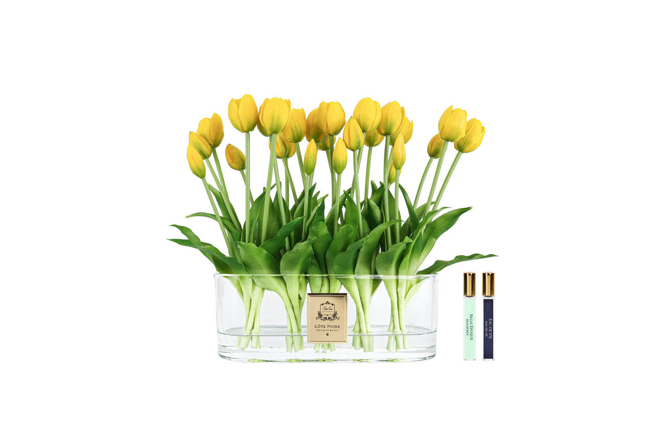 Cote Noire Oval Tulips - Yellow - OT04