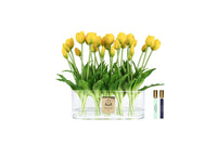 Cote Noire Oval Tulips - Yellow - OT04