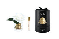 New Single Rose - Clear Glass - Ivory White Gold/Black Box - RMR01