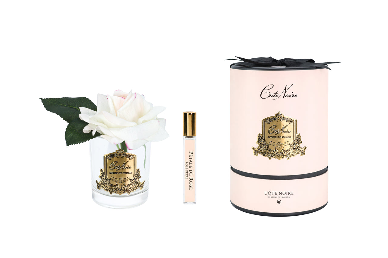 New Single Rose - Clear Glass - Blush Gold/Pink Box - RMR02