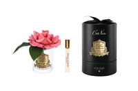 New Single Rose - Clear Glass - Peach Gold/Black Box - RMR05