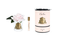 New Single Rose - Clear Glass - French Pink Gold/Pink Box - RMR06