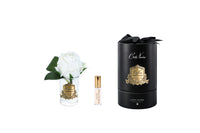 NEW Rose Bud - Clear Glass - White - Gold Badge/Black Box - RMR41