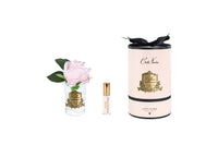 NEW Rose Bud - Clear Glass - French Pink - Gold Badge/Pink Box - RMR46