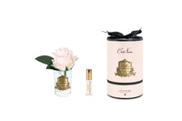NEW Rose Bud - Clear Glass - Champagne Pink - Gold Badge/Pink Box - RMR55
