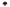 NEW - Cote Noire Vintage Rose - Red -  VP04