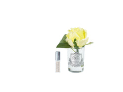 ** NEW ** CÔTE NOIRE PERFUMED NATURAL TOUCH ROSE BUD - CLEAR - Yellow- GMR48