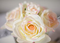 Côte Noire Perfumed Natural Touch 5 Roses - Black - Pink Blush - GMRB62
