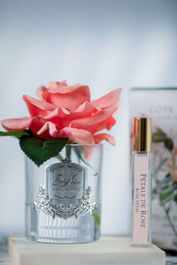 Côte Noire Perfumed Natural Touch Single Rose - Clear - Peach - GMR05