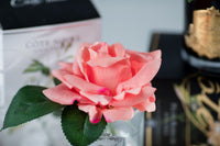 Côte Noire Perfumed Natural Touch Single Rose - Clear - Peach - GMR05