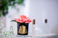 Côte Noire Perfumed Natural Touch Single Rose - Black - Peach - GMRB05