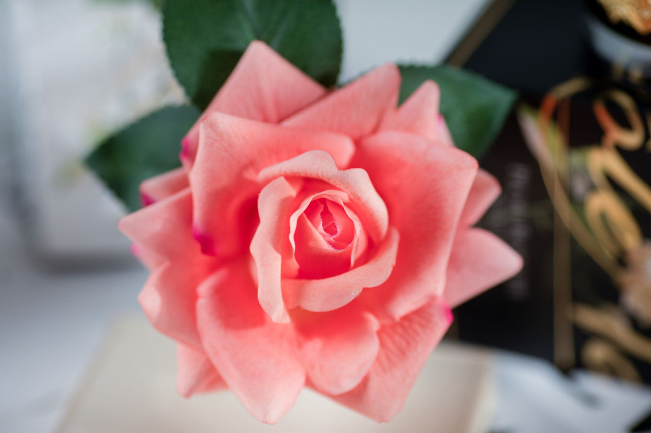 Côte Noire Perfumed Natural Touch Single Rose - Clear - Peach - GMR05