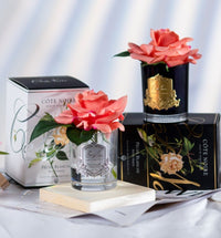 Côte Noire Perfumed Natural Touch Single Rose - Black - Peach - GMRB05