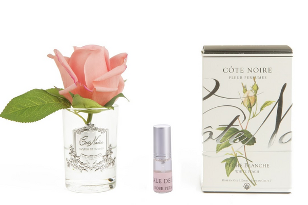 Côte Noire Perfumed Natural Touch Rose Bud - Frost - White Peach - GMR45