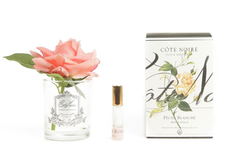 Côte Noire Perfumed Natural Touch Single Rose - Clear - White Peach - GMR05
