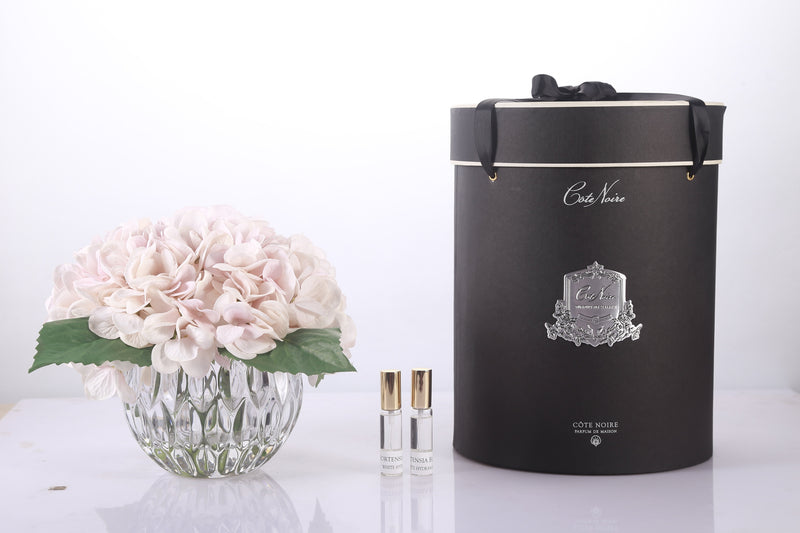 Cote Noire - Luxury Range Hydrangea's - Blush - Crystal Vase - LHY03