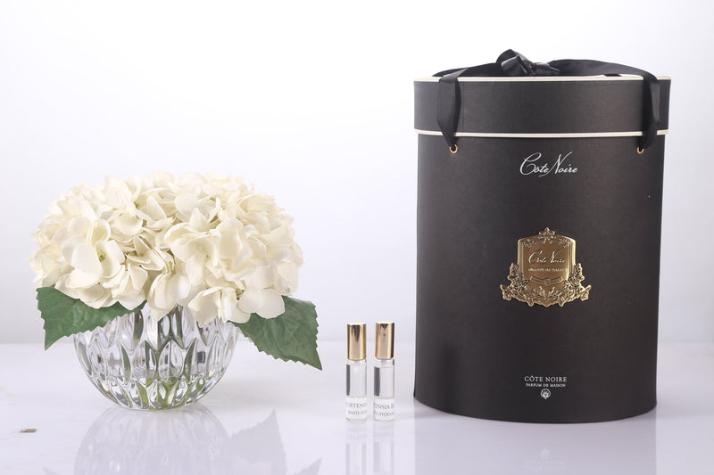 Cote Noire - Luxury Range Hydrangea's - Champagne - Crystal Vase - LHY02