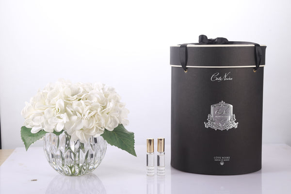 Cote Noire - Luxury Range Hydrangea's - Ivory - Crystal Vase - LHY01