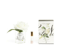Côte Noire Perfumed Natural Touch Single Rose - Clear - Ivory White - GMR01