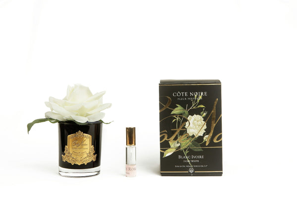 Côte Noire Perfumed Natural Touch Single Rose - Black - Ivory White - GMRB01