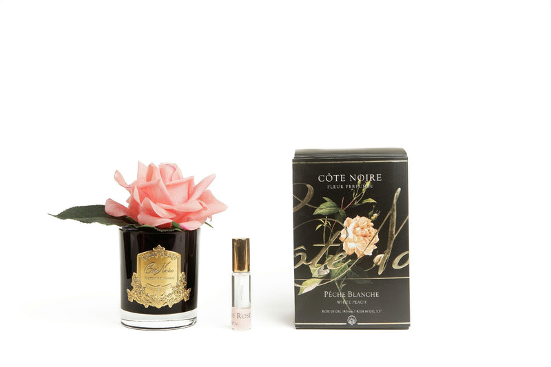Côte Noire Perfumed Natural Touch Single Rose - Black - White Peach - GMRB05